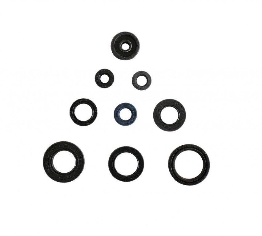 Set dihtunga za ulje za motor ATHENA P400485400048