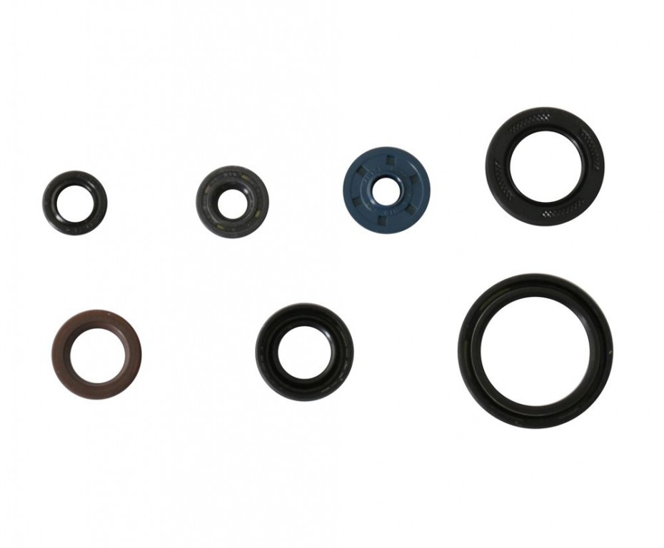 Set dihtunga za ulje za motor ATHENA P400485400187