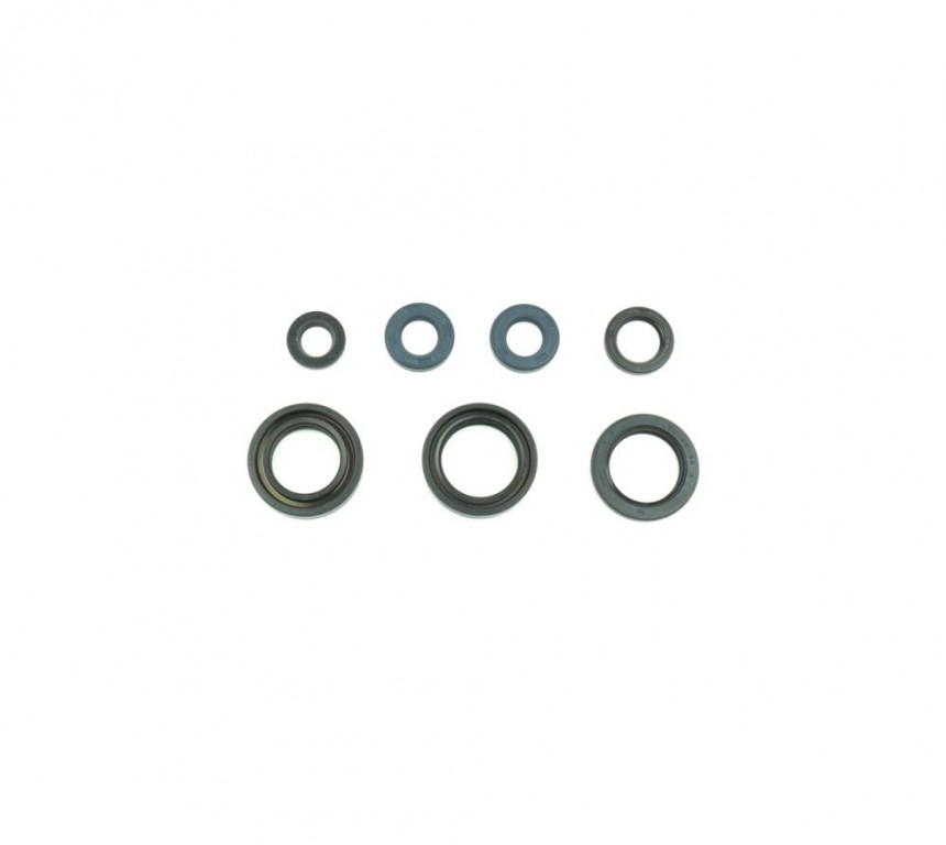 Set dihtunga za ulje za motor ATHENA P400485400210