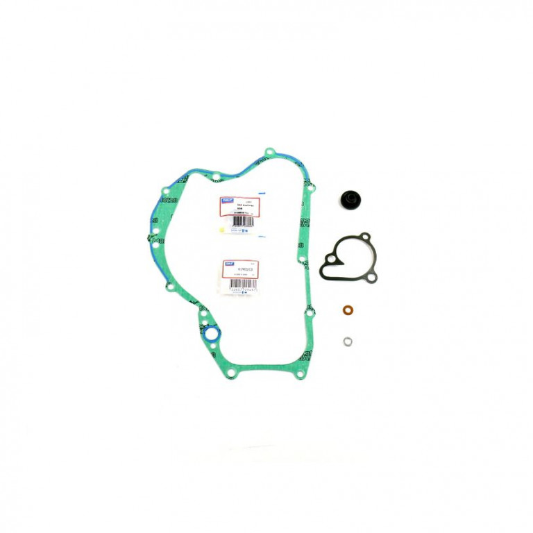 Set za popravak vodene pumpe ATHENA P400510475003 with bearings