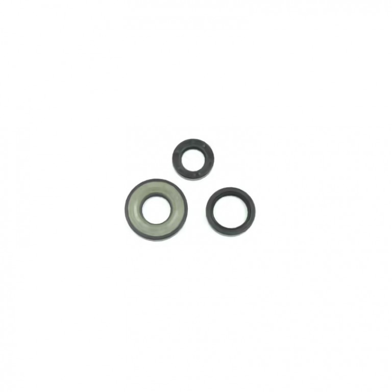 Set dihtunga za ulje za motor ATHENA P4E0480400040