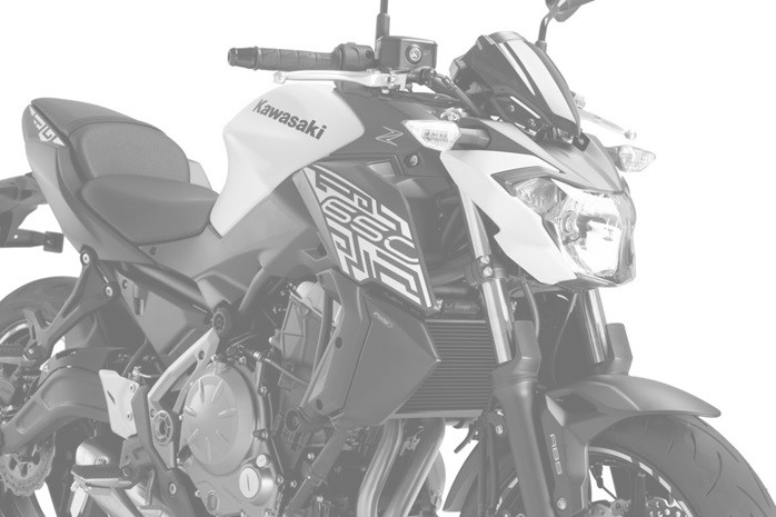 Radiator side panels PUIG 9371C carbon look