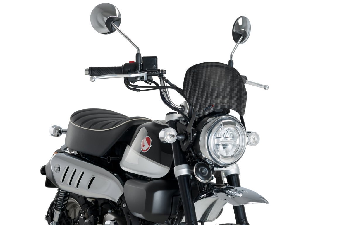 Windshield PUIG FRONTAL PLATE 3504C carbon Look