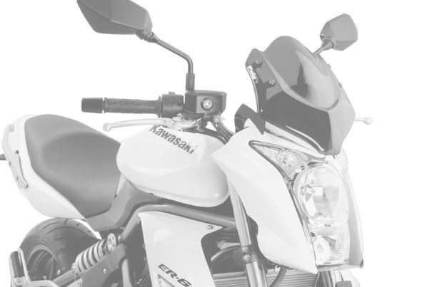 Windshield PUIG NEW. GEN SPORT 4950C carbon look