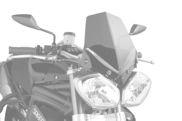 Windshield PUIG NEW. GEN SPORT 5658C carbon look