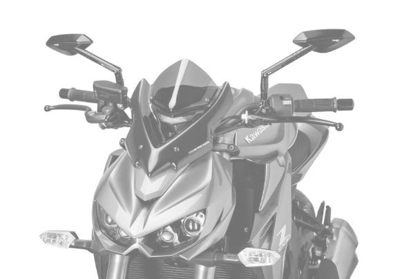 Windshield PUIG NEW. GEN SPORT 7011C carbon look