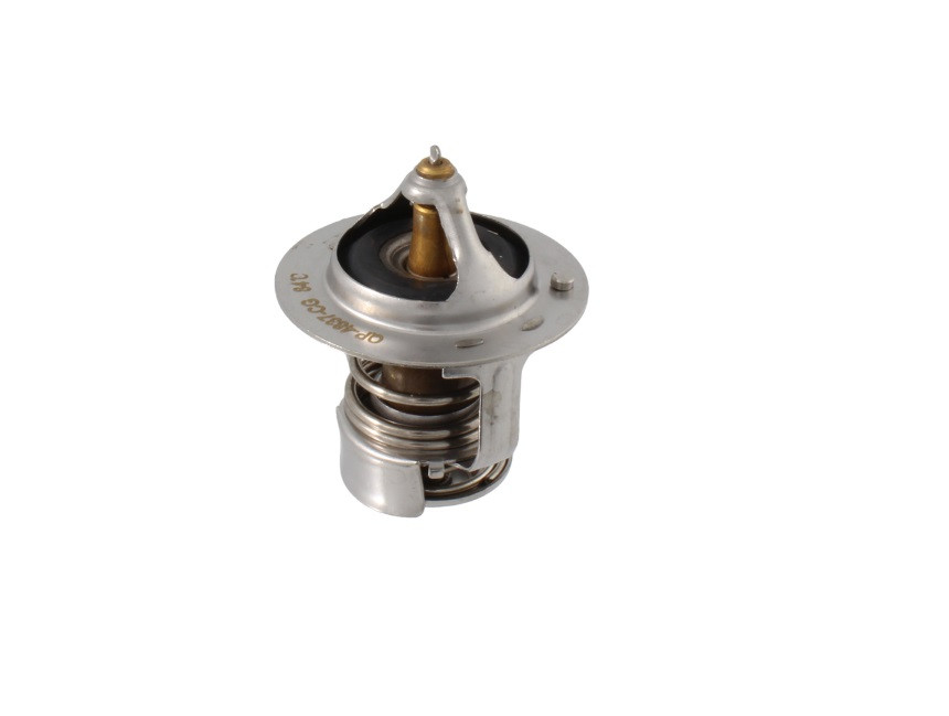 Thermostat RMS 100120720