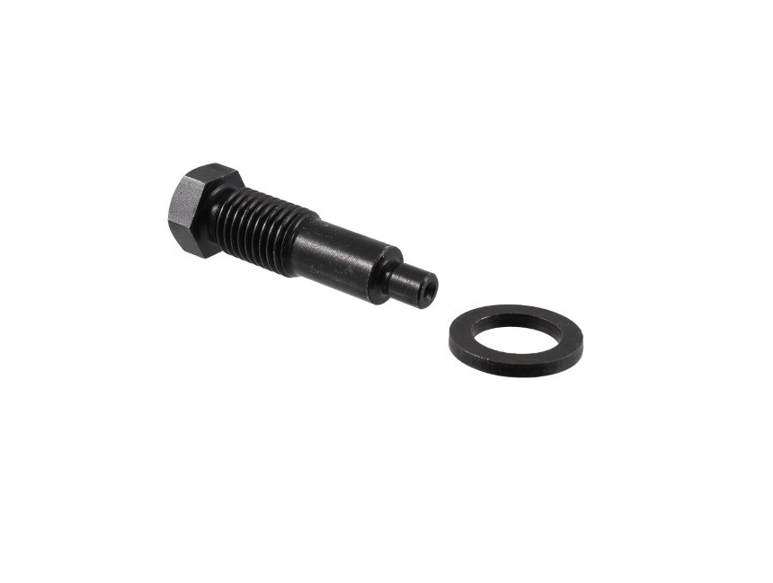 Gear selector screw RMS 100240201 with washer