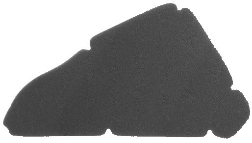 Filter zraka NYPSO 100600111
