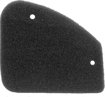 Filter zraka NYPSO 100600371