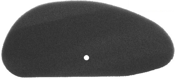 Filter zraka NYPSO 100600881