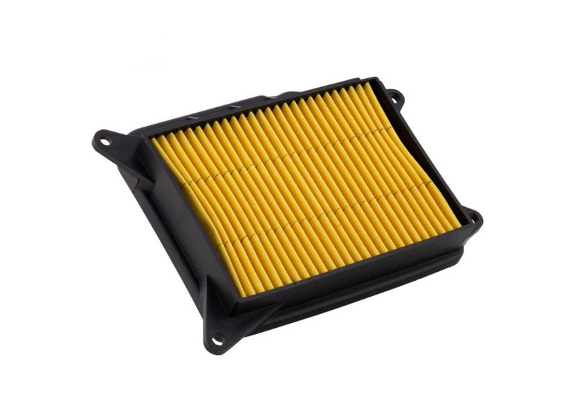 Filter zraka CHAMPION 100602305