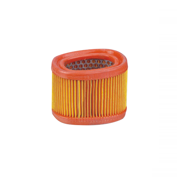Filter zraka CHAMPION 100606035
