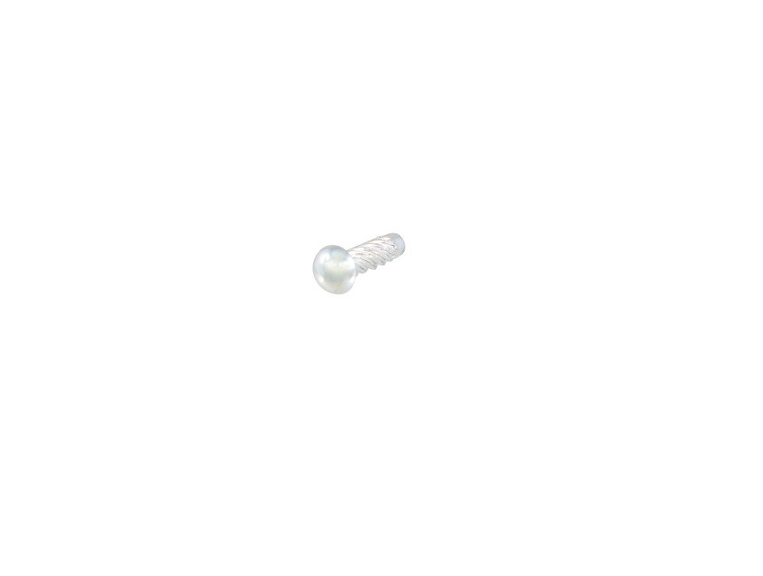 Rivet steering lock cover RMS 121790183