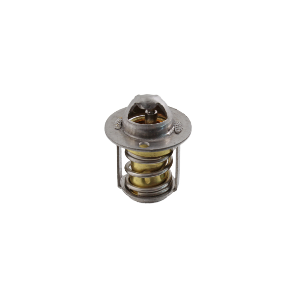 Thermostat RMS 100120790