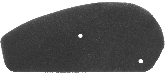 Filter zraka NYPSO 100600211