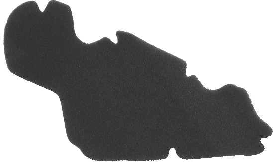 Filter zraka NYPSO 100600401