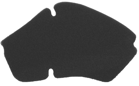 Filter zraka NYPSO 100600441