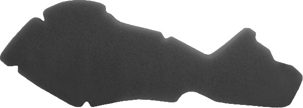 Filter zraka NYPSO 100600481