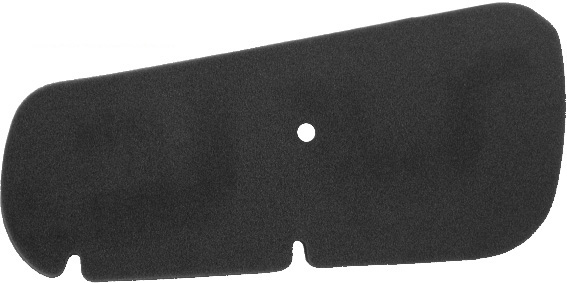 Filter zraka NYPSO 100600811