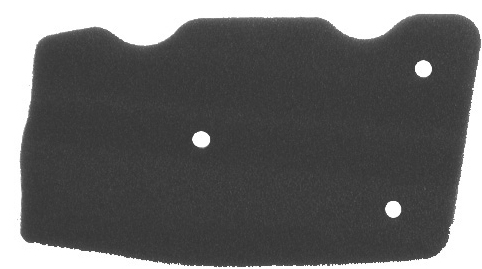Filter zraka NYPSO 100600831