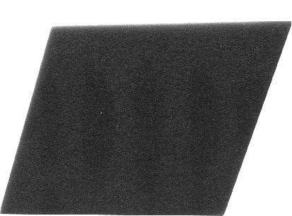 Filter zraka NYPSO 100600861