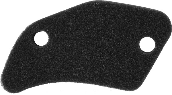 Filter zraka NYPSO 100601191
