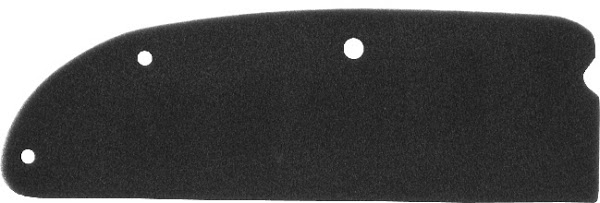 Filter zraka NYPSO 100602021
