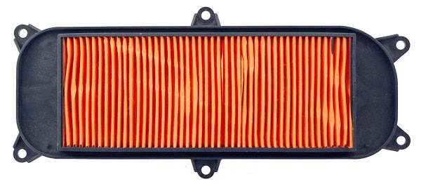 Filter zraka NYPSO 100602431