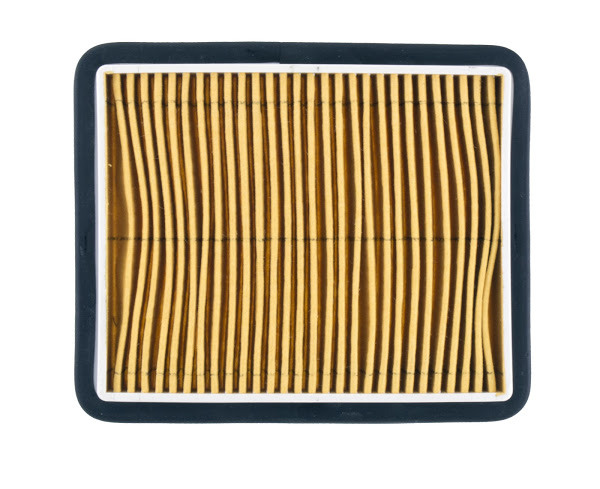 Filter zraka NYPSO 100602961