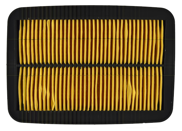 Filter zraka NYPSO 100603300