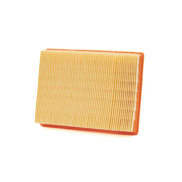 Filter zraka CHAMPION CAF9001 100606165