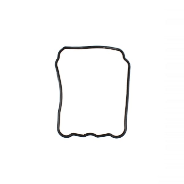Head cover gasket RMS 100701050