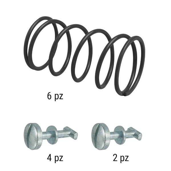 Retainers and springs kit RMS 121858593