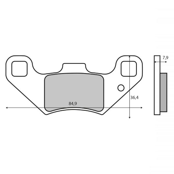 Disk pločice RMS 225103630