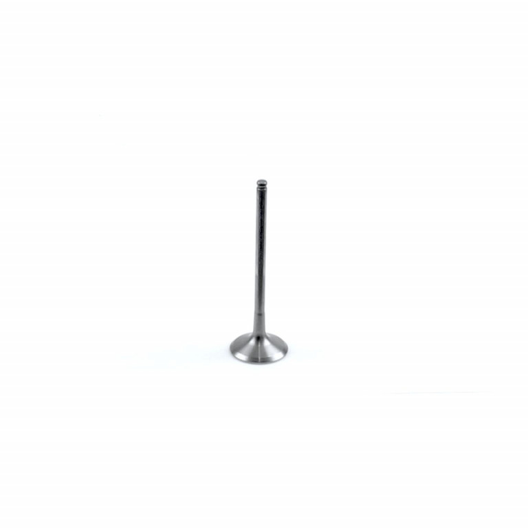 Inlet valve AOKI